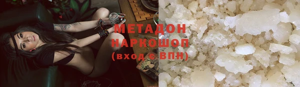 стаф Алексин