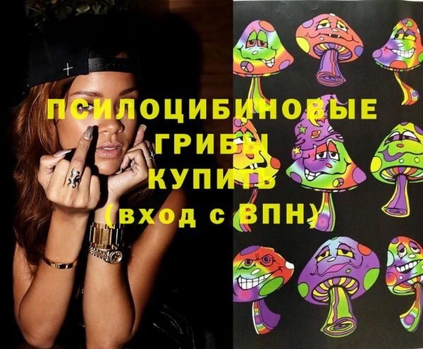 стаф Алексин