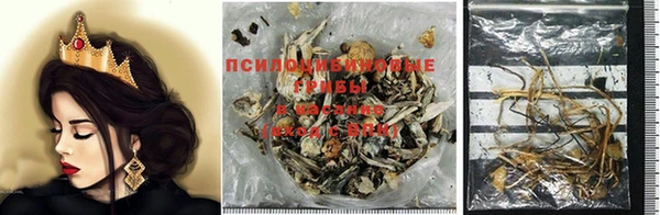 стаф Алексин